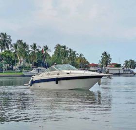 SEA RAY SUNDANCER 270