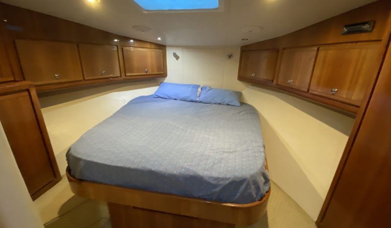 
								BERTRAM CONVERTIBLE 51 full									