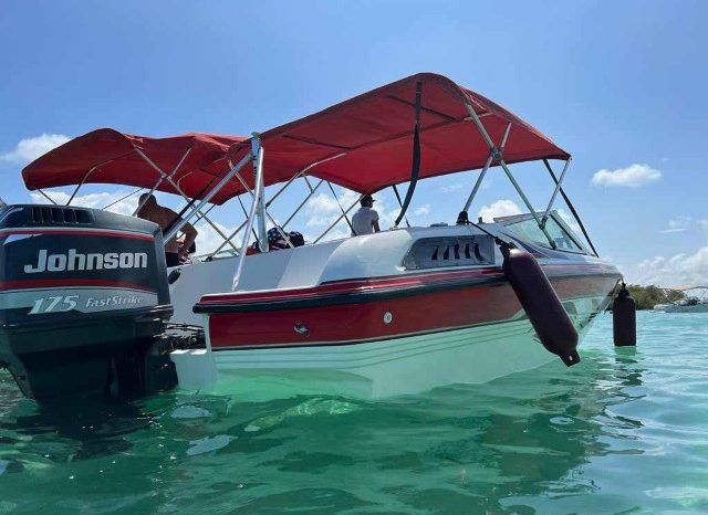 
								CHAPARRAL 18 full									
