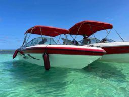 
										CHAPARRAL 18 full									