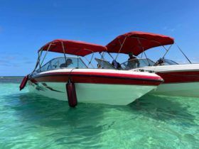 CHAPARRAL 18