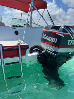 
										CHAPARRAL 18 full									