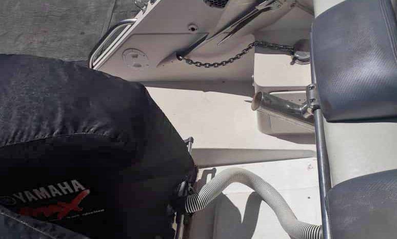
								INTERMARINE AVANTI 35 full									
