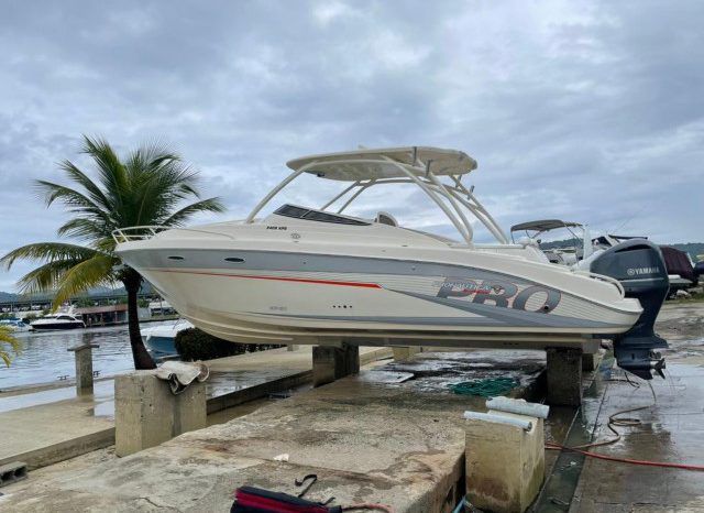 
								PROMARINE EXPRESS 1040 34 full									