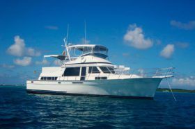 TOLLYCRAFT CLASSIC 48