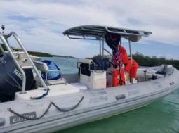 
										DINGHY CARIBE 24 full									