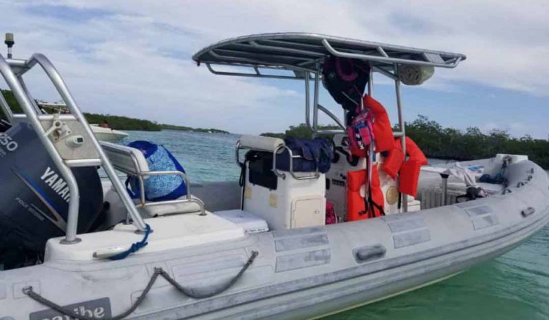 
								DINGHY CARIBE 24 full									