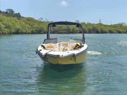 
										CHAPARRAL XTREME 26.4 full									