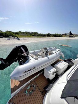 
										SEA RAY SEDAN BRIDGE 58 full									