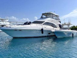 
										SEA RAY SEDAN BRIDGE 58 full									