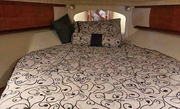 
								SEA RAY SUNDANCER 44 full									