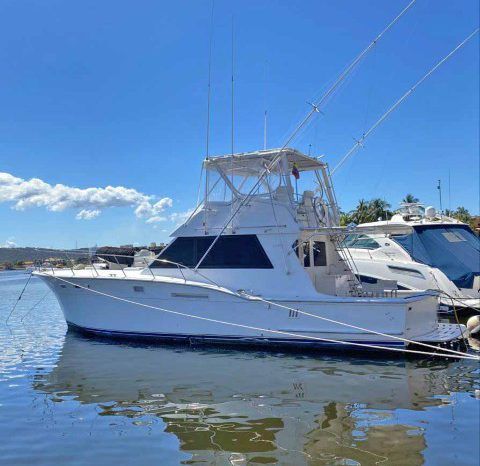 
								HATTERAS SPORT FISHERMAN 46 full									