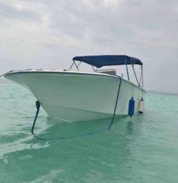 
										PROFINA 24 full									