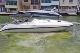 INTERMARINE SPORT 38