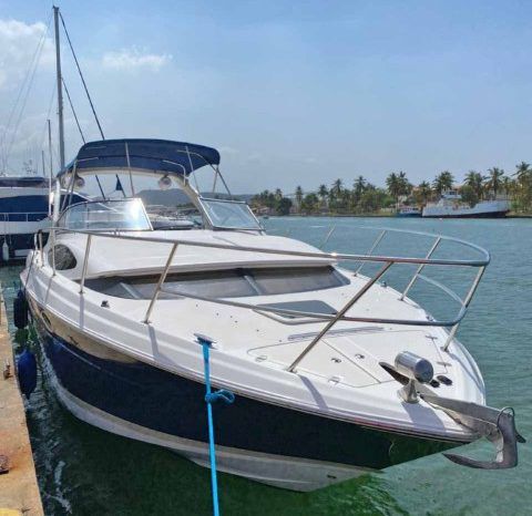 
								REGAL 3360 33 full									