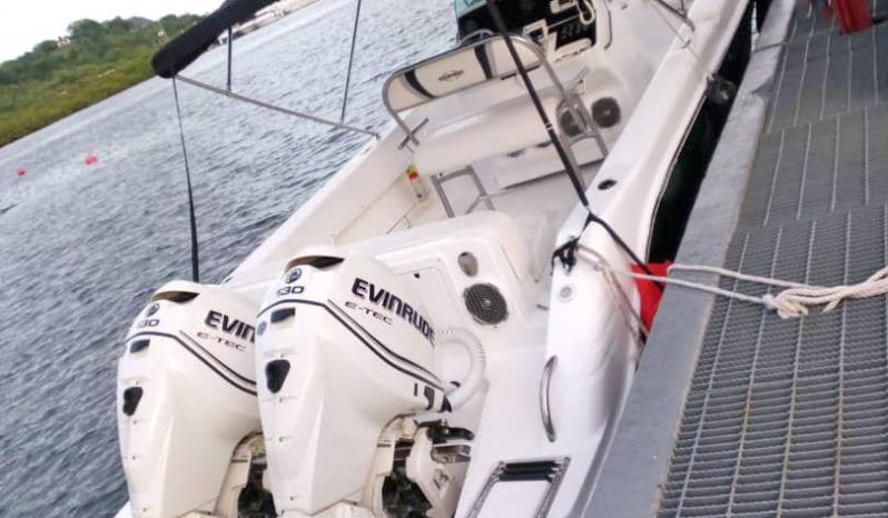 
								INTERMARINE OPEN 25 full									