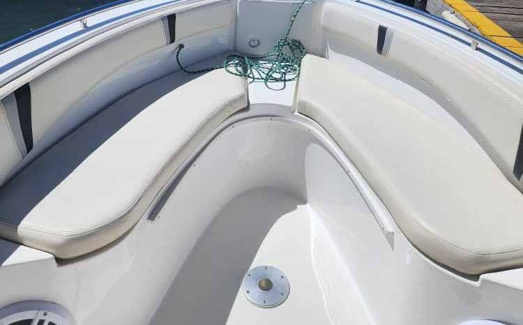 
								INTERMARINE OPEN 25 full									