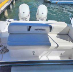 
										INTERMARINE OPEN 25 full									