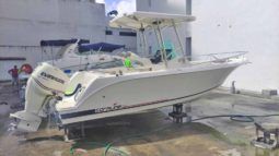 
										CORALINE 24 full									