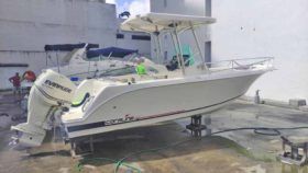 CORALINE 24