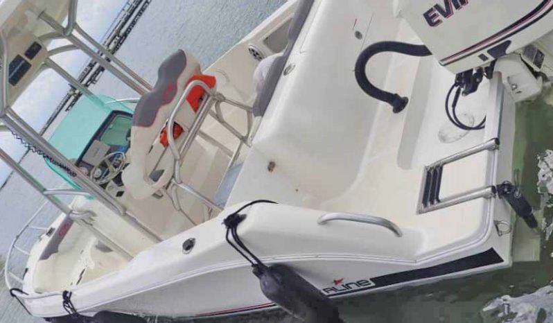 
								CORALINE 24 full									