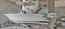 CORALINE 24