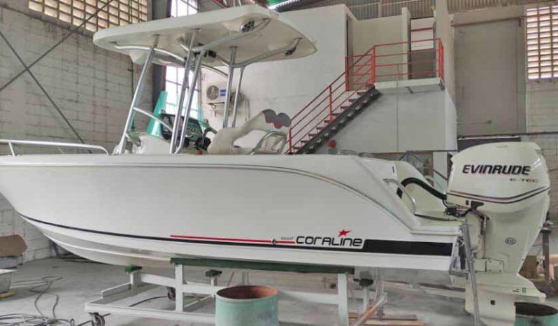 
								CORALINE 24 full									