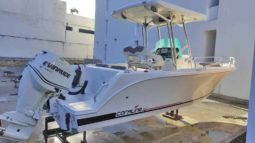 
										CORALINE 24 full									
