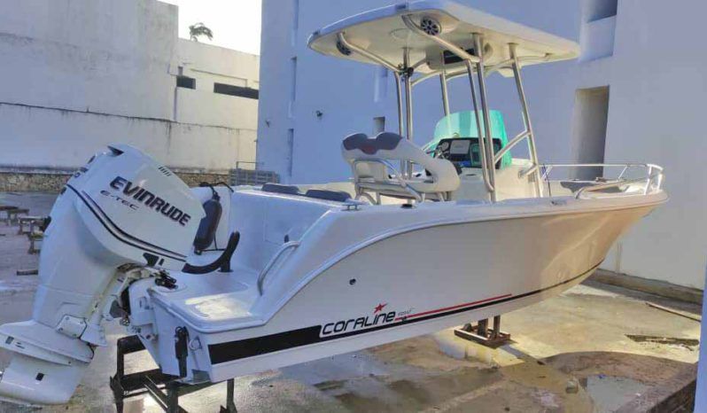 
								CORALINE 24 full									