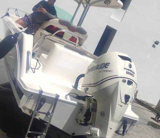 
								CORALINE 24 full									