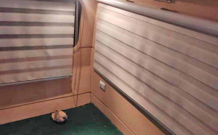 
								TRAILER CAMPER TERRI TWIN 15MTS full									