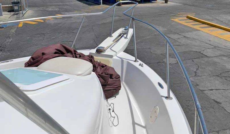 
								BAYLINER TROPHY 24 full									