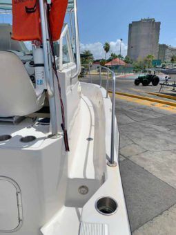 
										BAYLINER TROPHY 24 full									