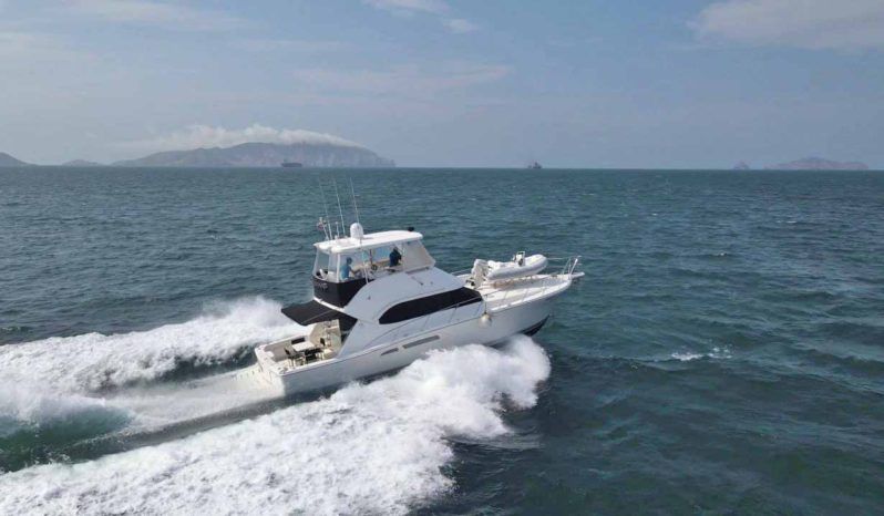 
								RIVIERA 47 full									
