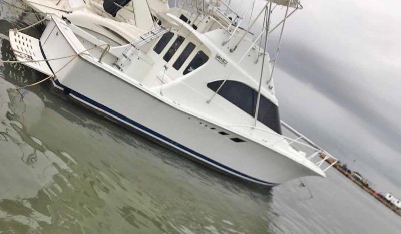 
								LUHRS TOURNAMENT 32 full									