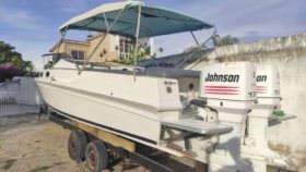 INTERMARINE Z29