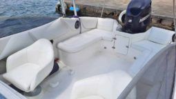 
										BAYLINER CAPRI 21 full									