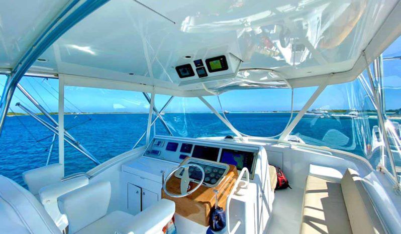 
								HATTERAS CONVERTIBLE 50 full									