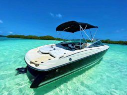 
										MONTEREY 214 FS BOWRIDER 21.4 full									