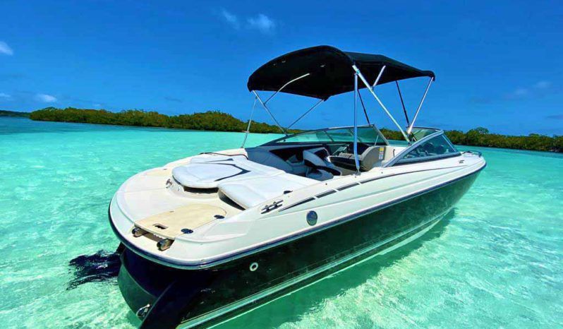 
								MONTEREY 214 FS BOWRIDER 21.4 full									