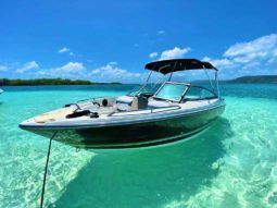 
										MONTEREY 214 FS BOWRIDER 21.4 full									