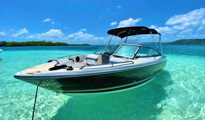 
								MONTEREY 214 FS BOWRIDER 21.4 full									