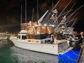 OFFSHORE YACHTFISHER 48