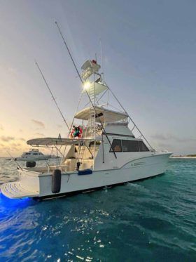 HATTERAS CONVERTIBLE 53