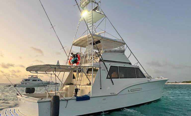 
								HATTERAS CONVERTIBLE 53 full									