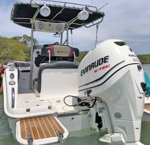 
								INTERMARINE OPEN CC 230 24 full									