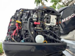 BOTE TRITON TS 18 full