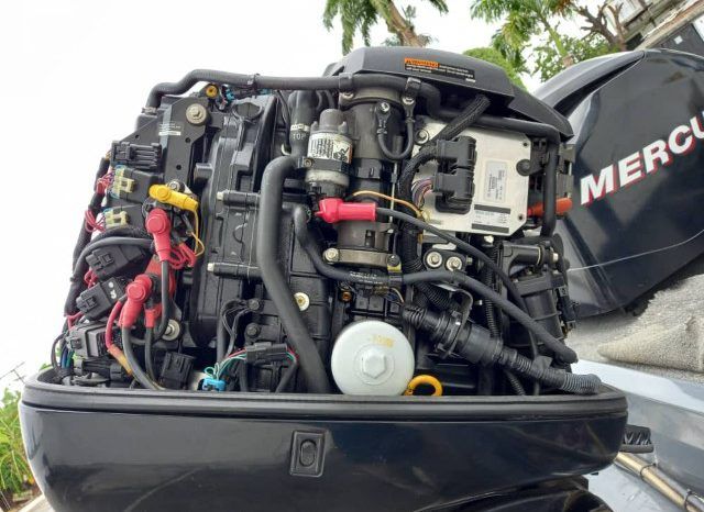 BOTE TRITON TS 18 full