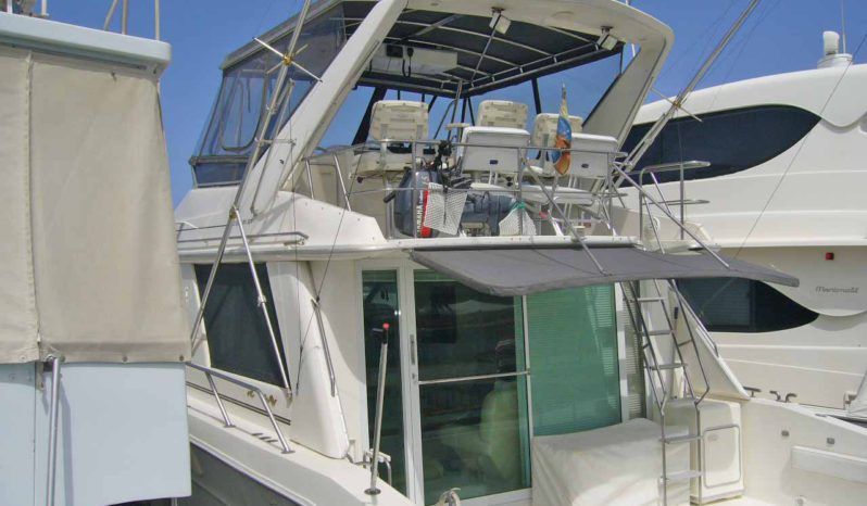 SEA RAY FLYBRIDGE 550 full