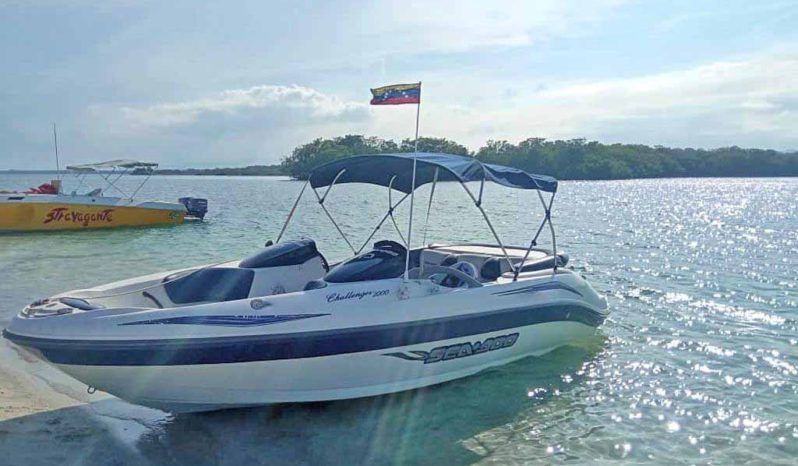 
								SEA DOO CHALLENGER 19.5 full									